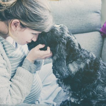 comoprepararatuperroparalallegadadeunbebe01