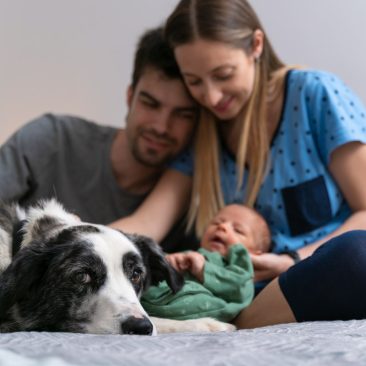 comoprepararatuperroparalallegadadeunbebe02