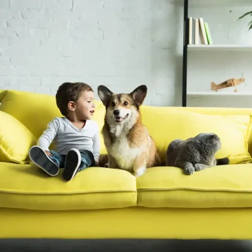 montse_lloret_curso_perros_ninos