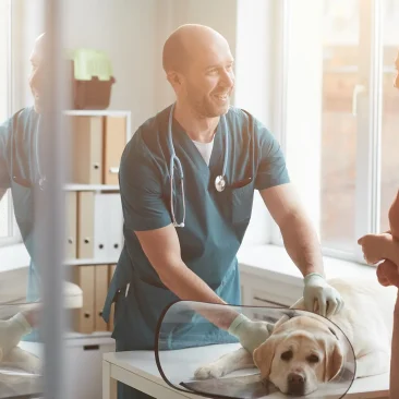 sunlight-vet-clinic-scene-2023-11-27-05-02-18-utc