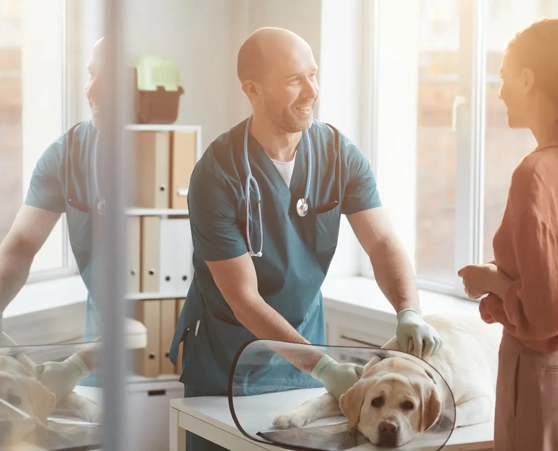 sunlight-vet-clinic-scene-2023-11-27-05-02-18-utc