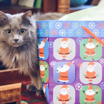 tehanregaladounamascota