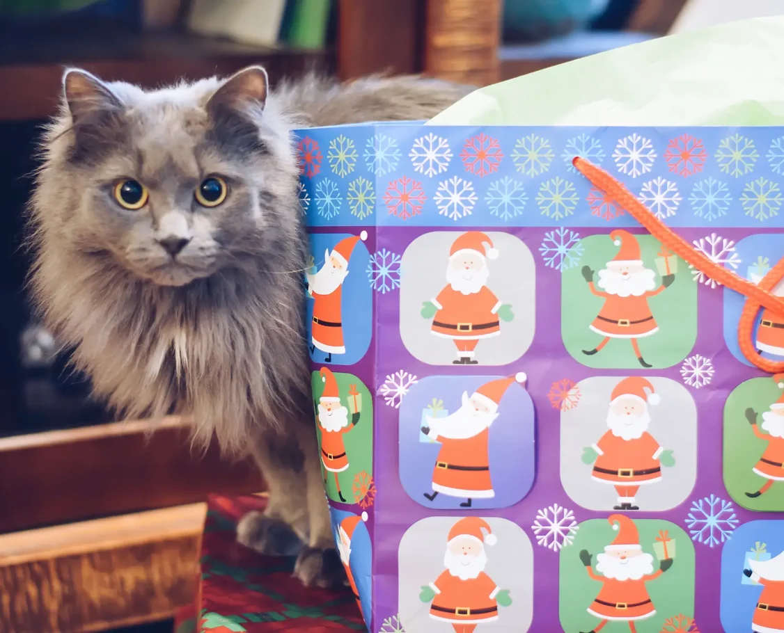 tehanregaladounamascota