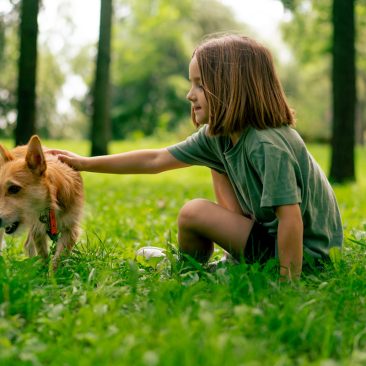 vacacionessinagresiones