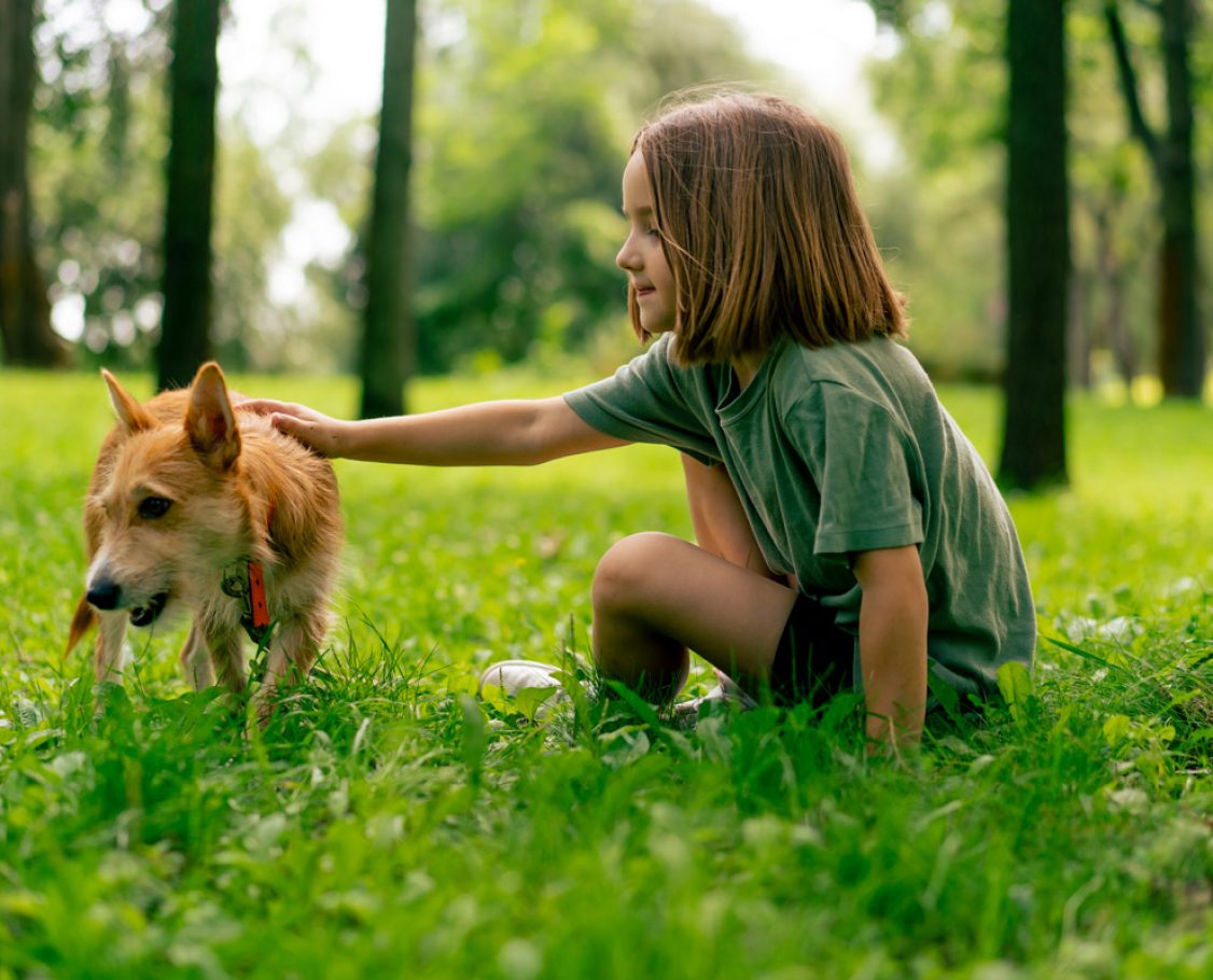 vacacionessinagresiones